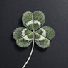 Luckyssn