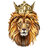 Lion Document